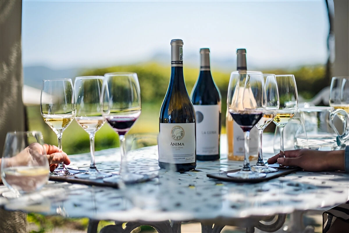 Award-winning South African wine served during a Cape Winelands tour with 4 C Sons Travelling